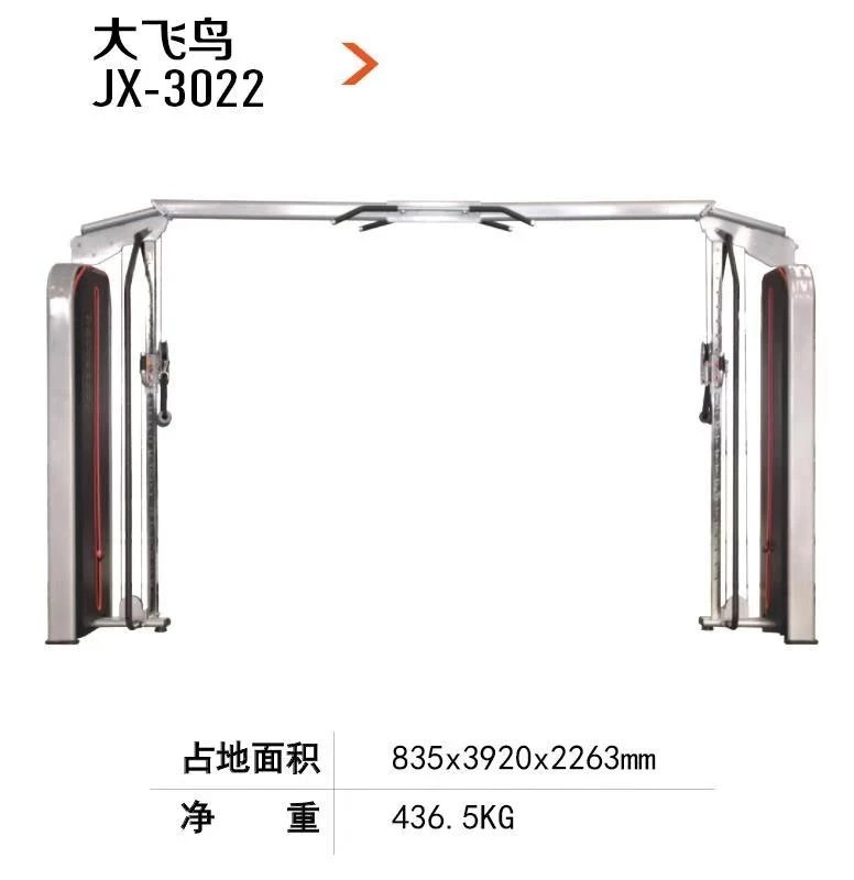 大飛鳥